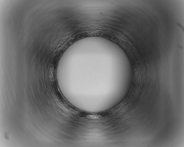 X0000101120654200806261046