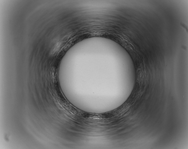 X0000101120655200806261046