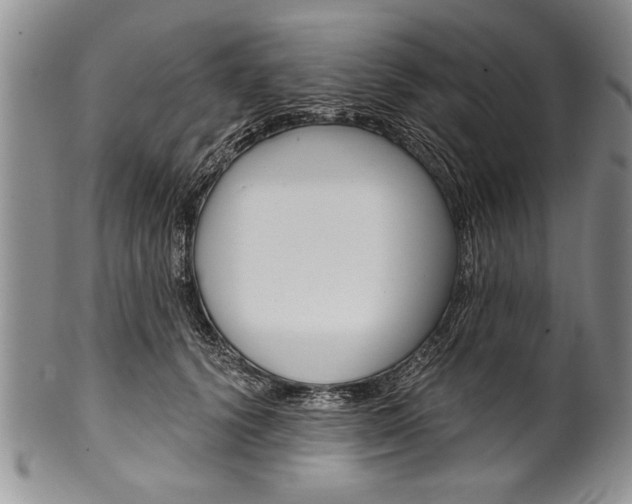 X0000101120656200806261046