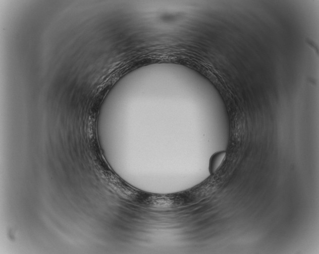 X0000101120658200806261046