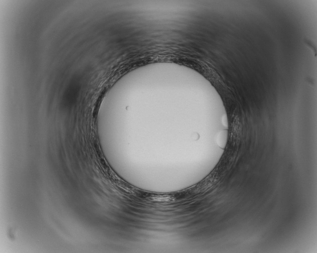 X0000101120659200806261046