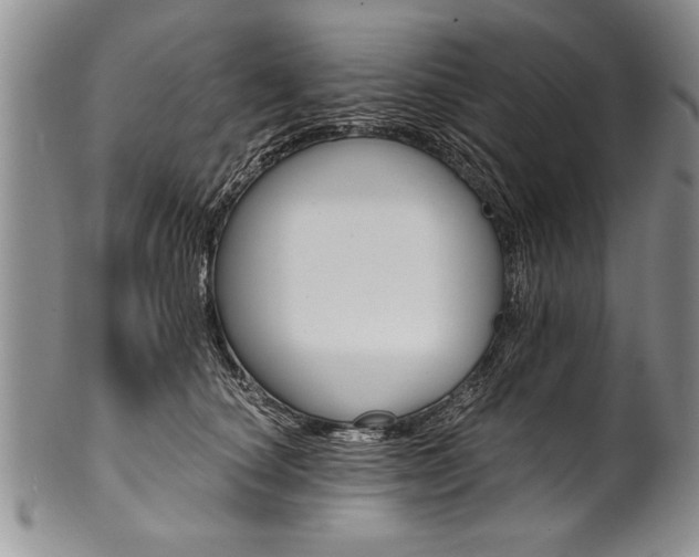 X0000101120660200806261046