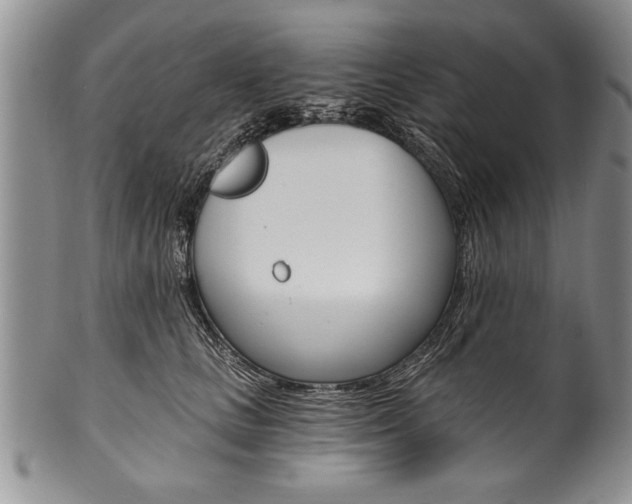 X0000101120661200806261046