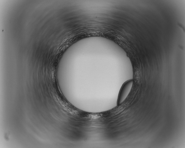 X0000101120662200806261046