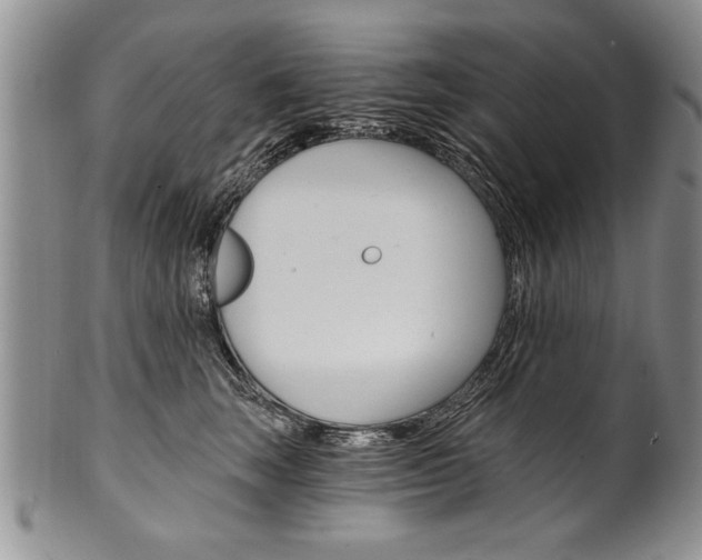 X0000101120663200806261046