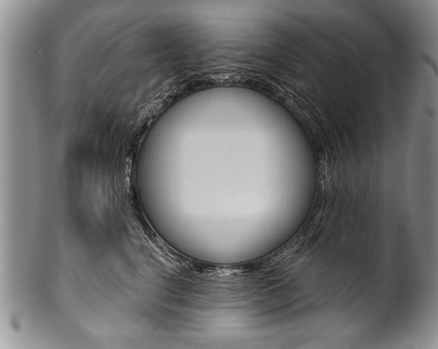 X0000101120664200806261046