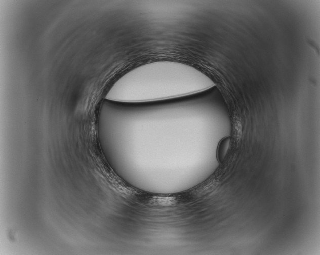 X0000101120665200806261046