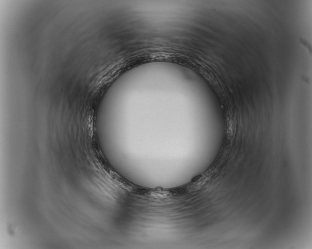 X0000101120666200806261046