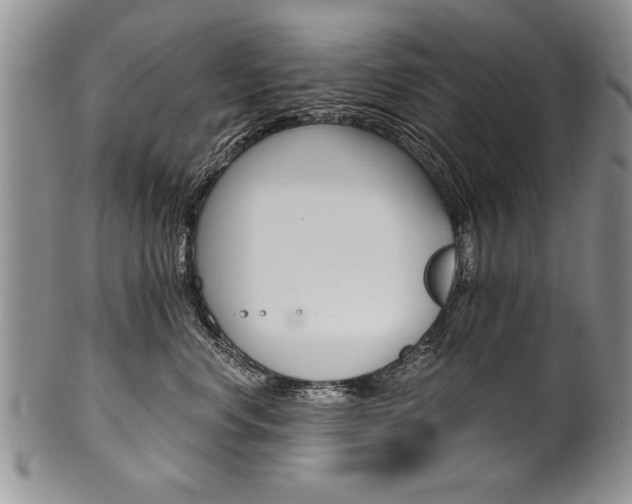 X0000101120668200806261046