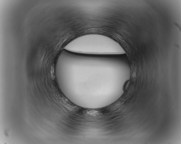 X0000101120669200806261046
