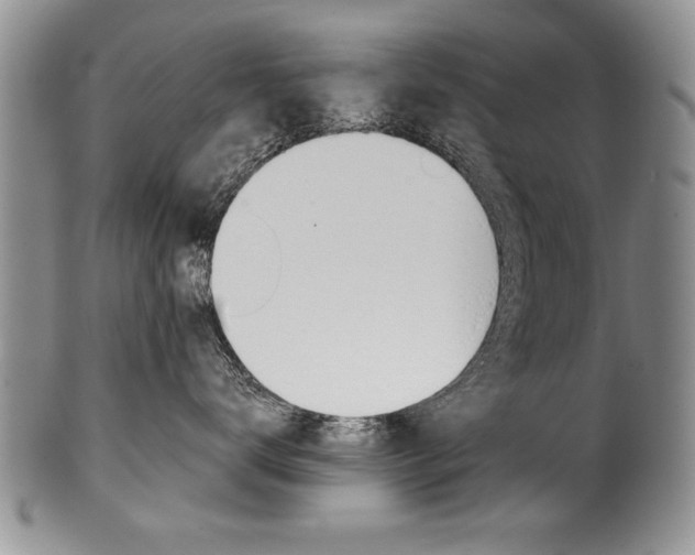 X0000101120672200806261047