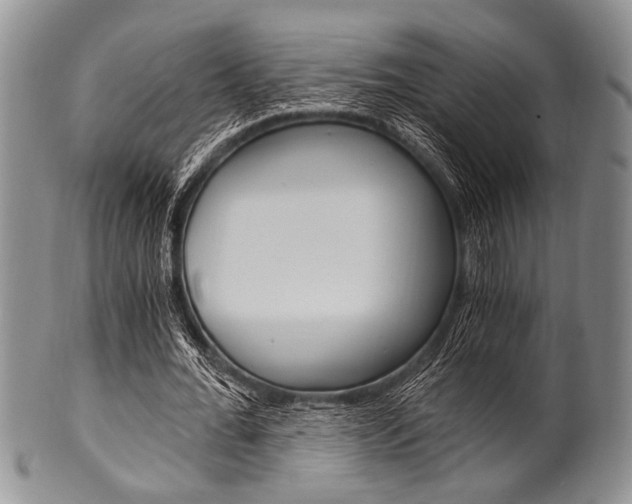 X0000101120676200806261046