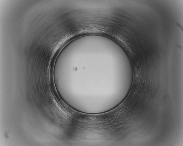 X0000101120678200806261046