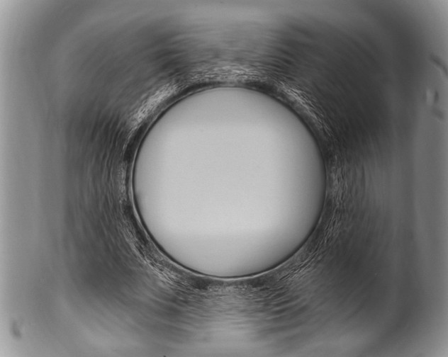 X0000101120679200806261046