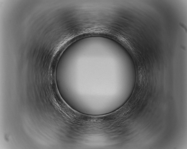 X0000101120680200806261046