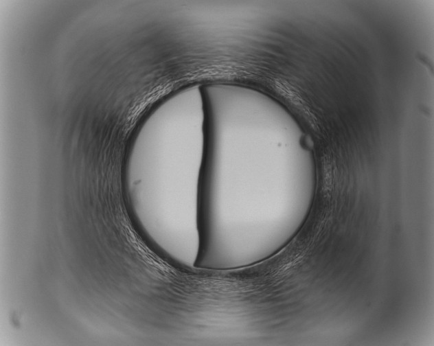 X0000101120681200806261046