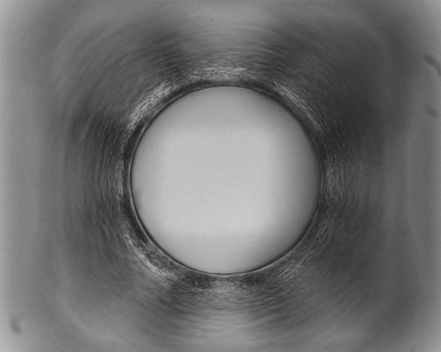 X0000101120682200806261046