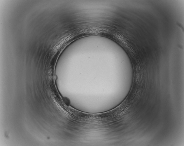 X0000101120683200806261046