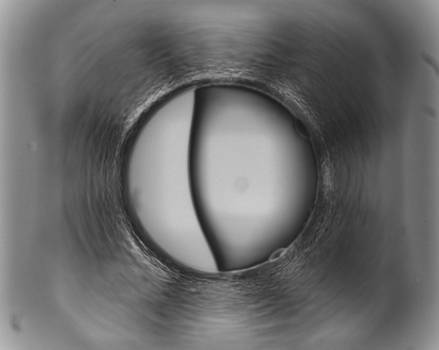 X0000101120684200806261046