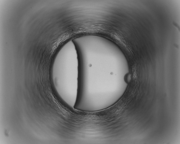 X0000101120685200806261046