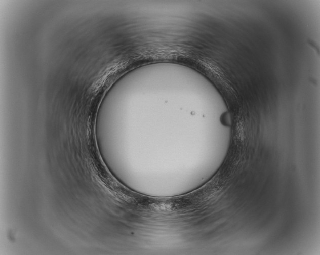 X0000101120687200806261046