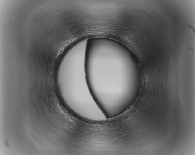 X0000101120688200806261046