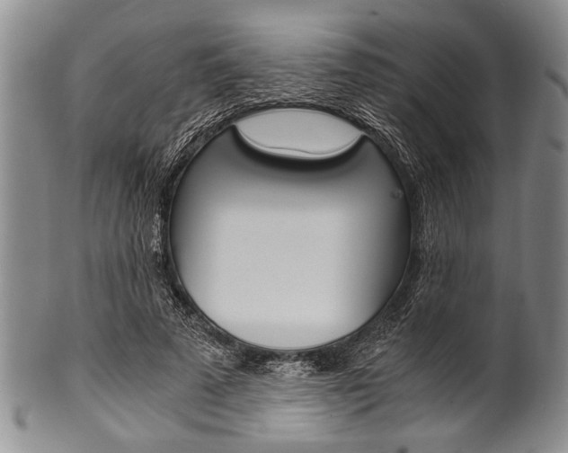 X0000101120689200806261046