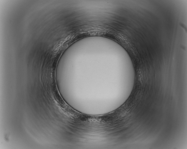 X0000101120690200806261046
