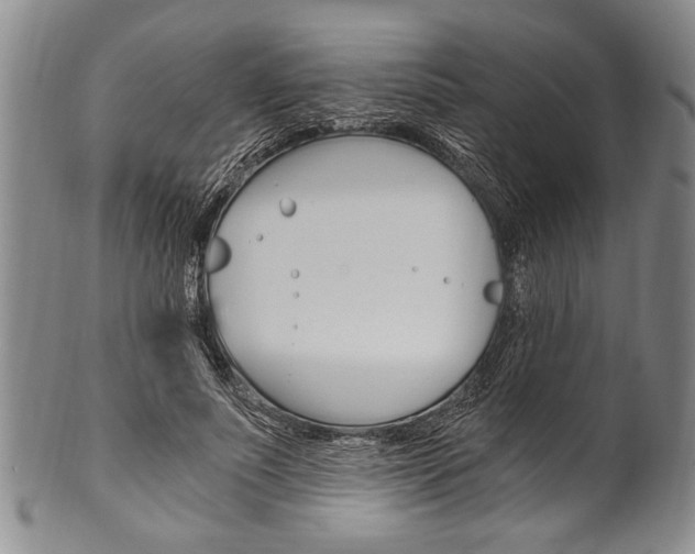 X0000101120691200806261046