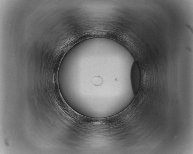 X0000101120692200806261046