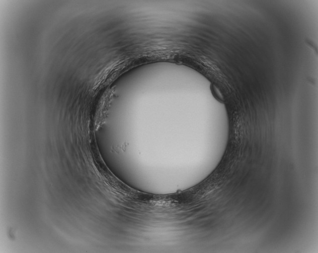 X0000101120693200806261046