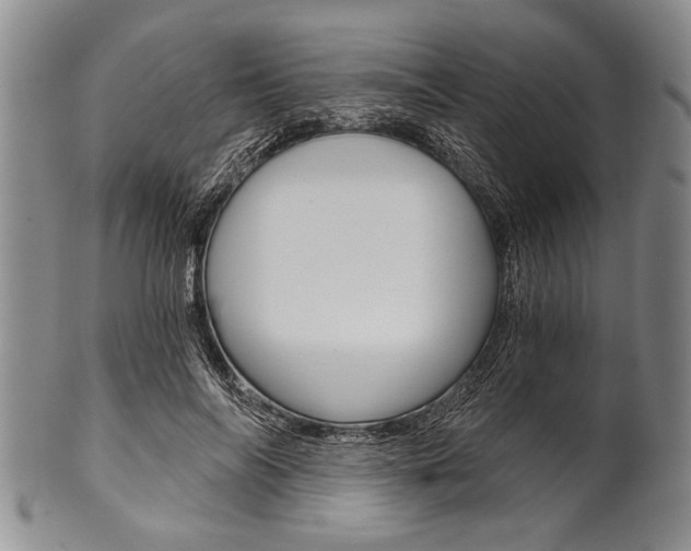 X0000101120694200806261046