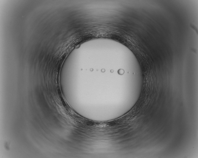 X0000101120695200806261046