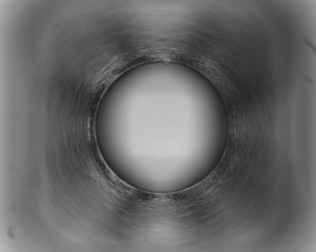 X0000101120696200806261046