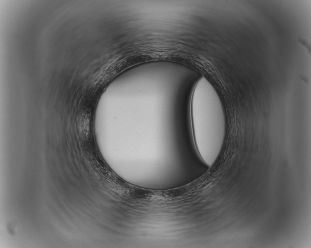 X0000101120697200806261046