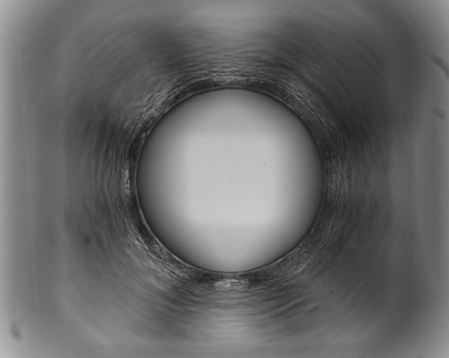 X0000101120700200806261045