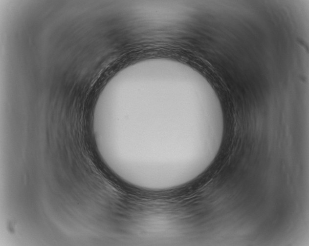 X0000101120701200806261045