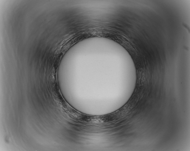 X0000101120702200806261045