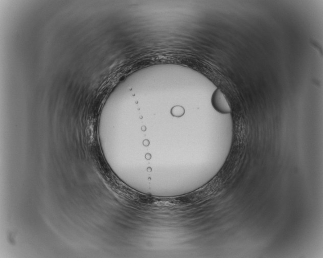 X0000101120703200806261045