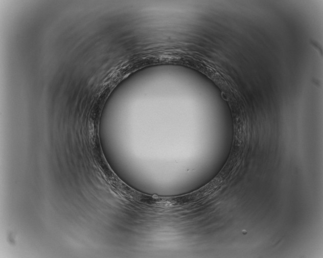 X0000101120704200806261045