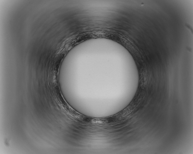 X0000101120706200806261045