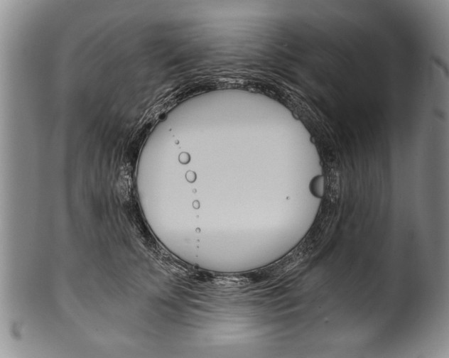 X0000101120707200806261045