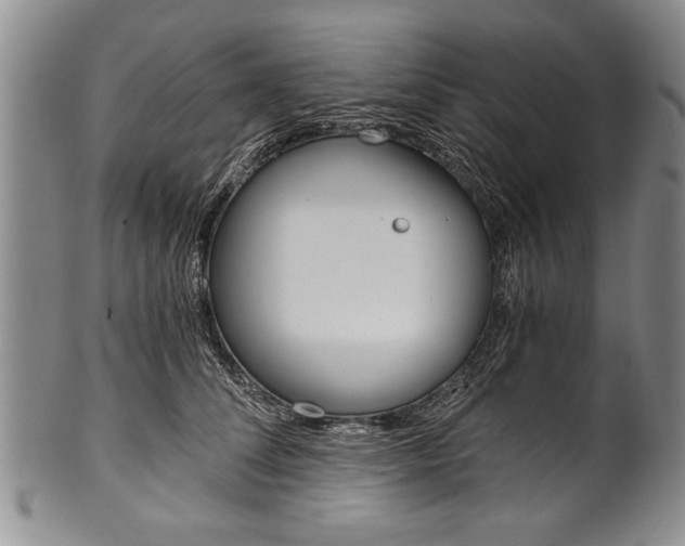 X0000101120708200806261045