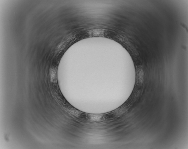 X0000101120709200806261045