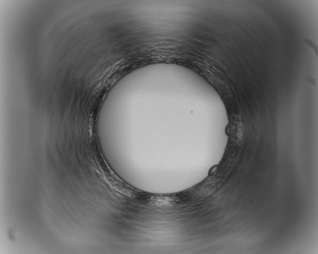 X0000101120710200806261045