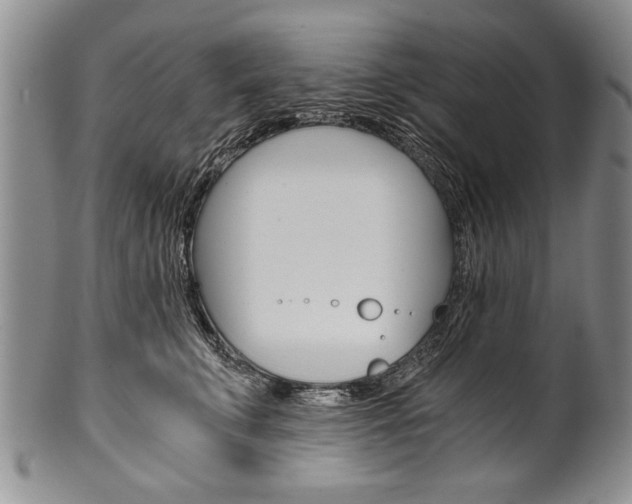 X0000101120711200806261045