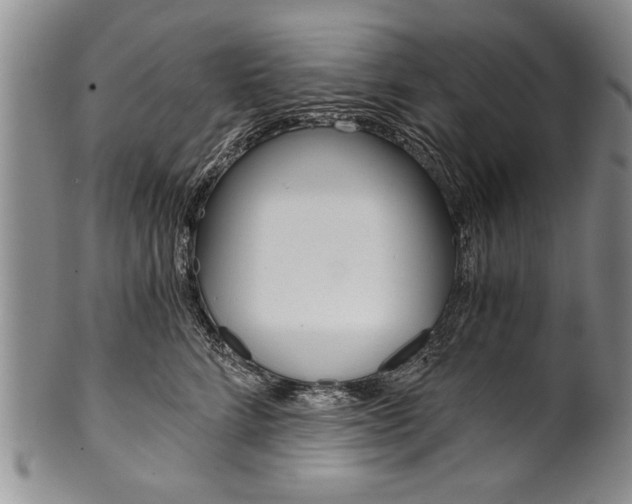 X0000101120712200806261045