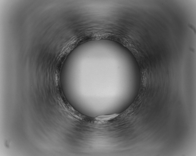 X0000101120716200806261045