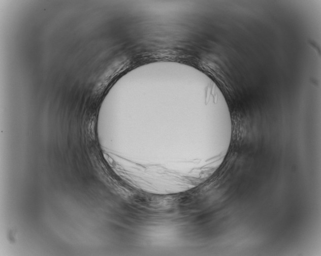 X0000101120717200806261045
