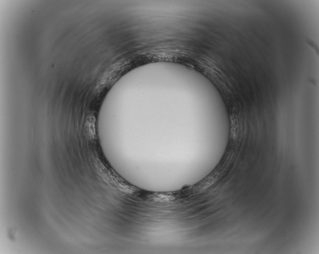 X0000101120718200806261045